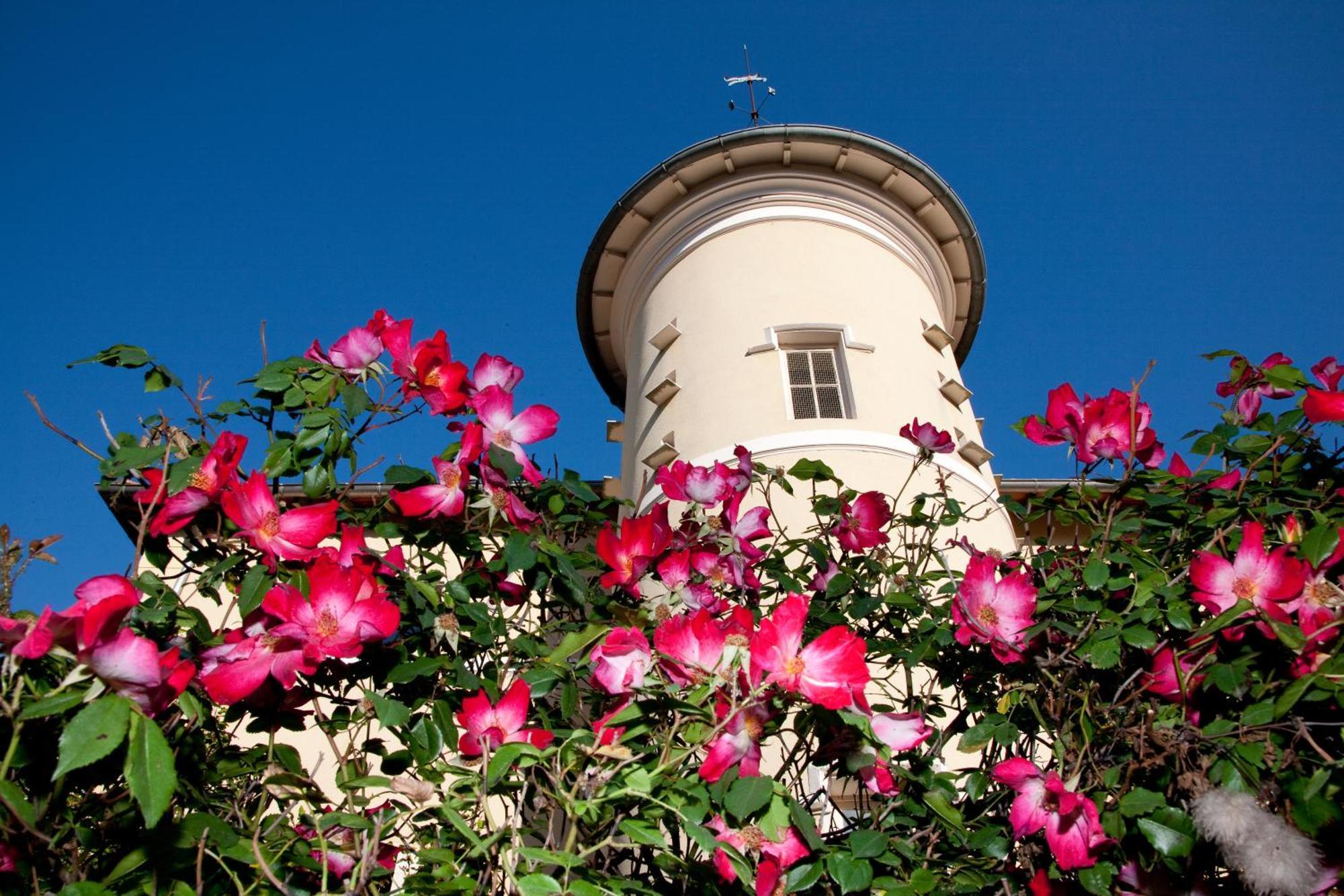 Chateau De Bellevue B&B Villie-Morgon Exterior photo