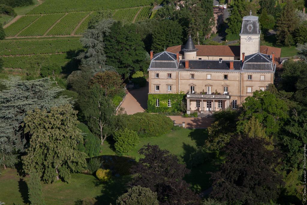 Chateau De Bellevue B&B Villie-Morgon Exterior photo